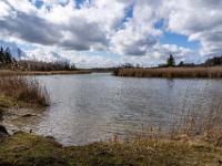 Ausblick vom Alzufer Richtung Ischl